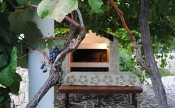 Bild 20: Garten