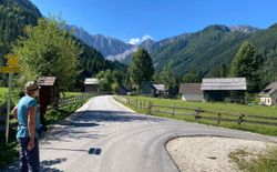 Bild 30: Bodental