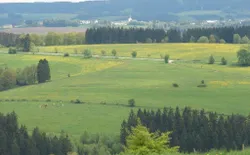 Bild 19: Blick auf die Schnee-Eifel