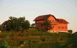 Bild 33