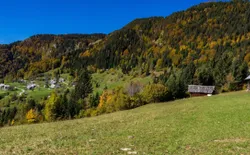 Bild 21