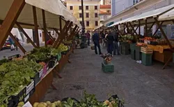 Bild 11: Market