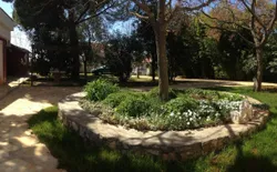 Bild 37: Garten