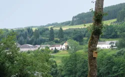 Bild 22