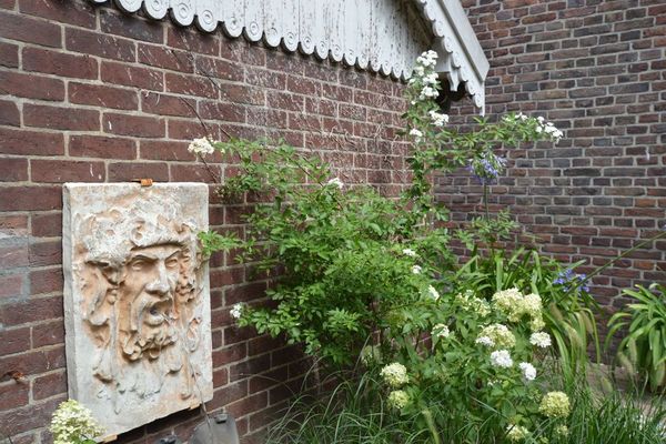 Ferienhaus Roggel mit Terrasse oder Balkon für bis zu 12 Personen mieten