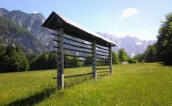 Bild 38