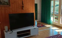 Bild 10: Wohnzimmer1