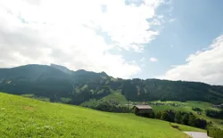 Bild 19