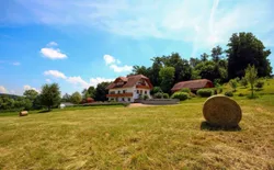 Bild 42