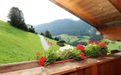 Bild 22