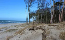 Bild 14