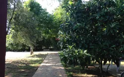 Bild 35: der Garten