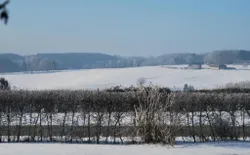 Bild 33