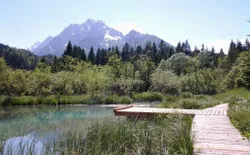 Bild 36