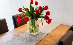 Bild 32