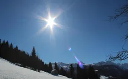 Bild 41
