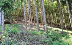 Bild 22