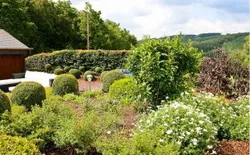 Bild 33: Garten