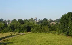 Bild 13: Hombourg im Sommer