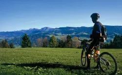 Bild 13