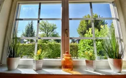 Bild 20: Wohnbereich. Blick aus dem Wohnzimmer