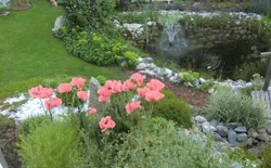 Bild 14: Garten