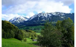 Bild 7