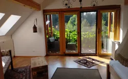 Wörtherseenahe Ferienwohnung im Grünen, Bild 1: Schlaf-Wohnbereich mit Blick auf Balkon und Wald