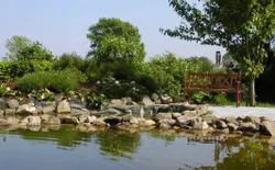Bild 11: Schwimmteich im vorderen garten