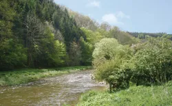 Bild 13