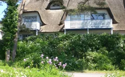 Appartement Achtern-Diek-am-Strand in Zingst, Bild 1
