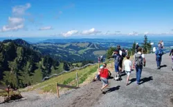 Bild 16