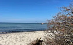 Bild 17