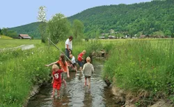 Bild 22
