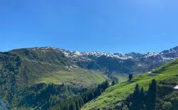 Bild 16