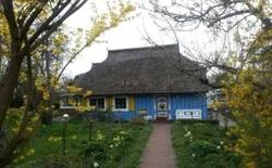Bild 27: Ort allgemein. blaues Haus, Störtebekerstr.