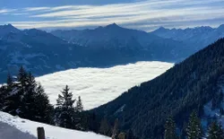 Bild 14