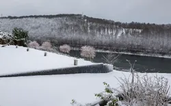 Bild 44: Ausblick aus dem Fenster
