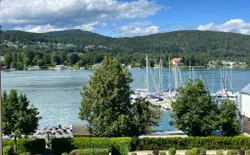Bild 20