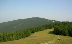 Bild 12: die Umgebung