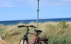 Bild 30: Strandübergang