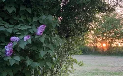Bild 35: Sonnenuntergang im Mai