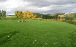 Bild 13: Spielwiese mit Feuerstelle