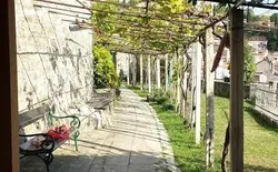 Bild 29: Garten