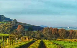 Bild 22: Umgebung(/ Landschaft pur
