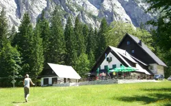 Bild 38
