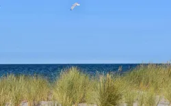 Bild 34: Ort allgemein. Erholung pur