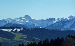 Bild 19