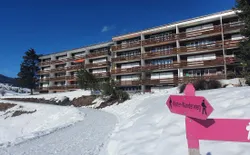 Bild 3: Ansicht Haus Winter3