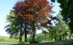 Bild 15